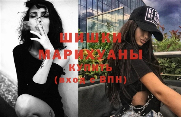 гидра Кохма
