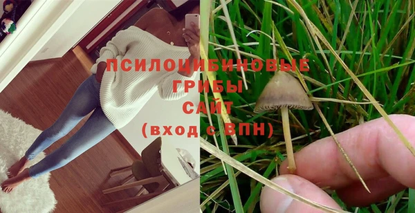 прущая мука Сатка